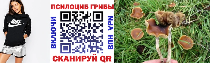 Псилоцибиновые грибы мухоморы  наркота  Жуков 